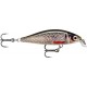 Rapala X-Light Minnow 5cm 4g - Live Roach